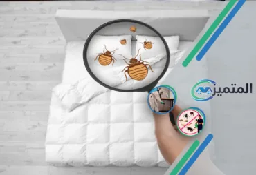 أرخص شركات مكافحة بق الفراش بحفر الباطن | مكافحة البق | رش البق بحفر الباطن | ابادة البق بحفر الباطن | البق، العث، بق الفراش، حشرة الفراش، عثة الفراش