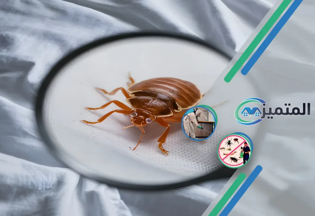 مكافحة بق الفراش بالقيصومة | 0539177195 | ضمان الإبادة النهائية 8 أرخص شركات مكافحة بق الفراش بالقيصومة | مكافحة البق | رش البق بالقيصومة | ابادة البق بالقيصومة | البق، العث، بق الفراش، حشرة الفراش، عثة الفراش