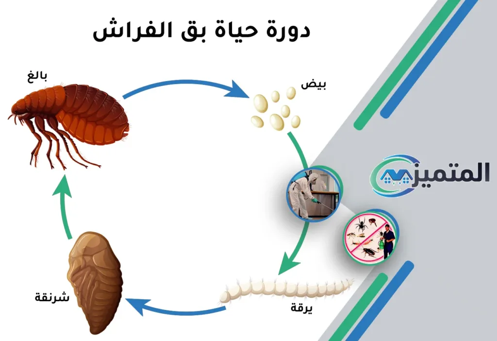 مكافحة بق الفراش بالقيصومة | 0539177195 | ضمان الإبادة النهائية 5 أفضل شركة مكافحة بق الفراش بالقيصومة | مكافحة البق | رش البق بالقيصومة | ابادة البق بالقيصومة | البق، العث، بق الفراش، حشرة الفراش، عثة الفراش