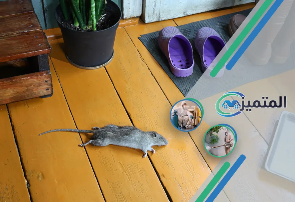 مكافحة حشرات بحفر الباطن | 0539177195 | ضمان الإبادة التامة 6 شركة مكافحة حشرات بحفر الباطن | مكافحة صراصير بحفر الباطن | مكافحة الفئران بحفر الباطن | مكافحة بق الفراش بحفر الباطن