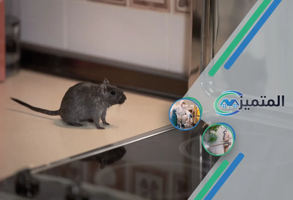 شركات مكافحة فئران بالقيصومة | قتل الفئران في القيصومة | محاربة الفئران في القيصومة | صيد الفئران في القيصومة